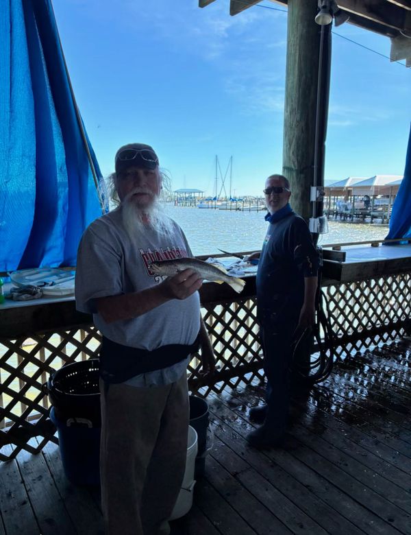 Sawdust and Fishguts Charters