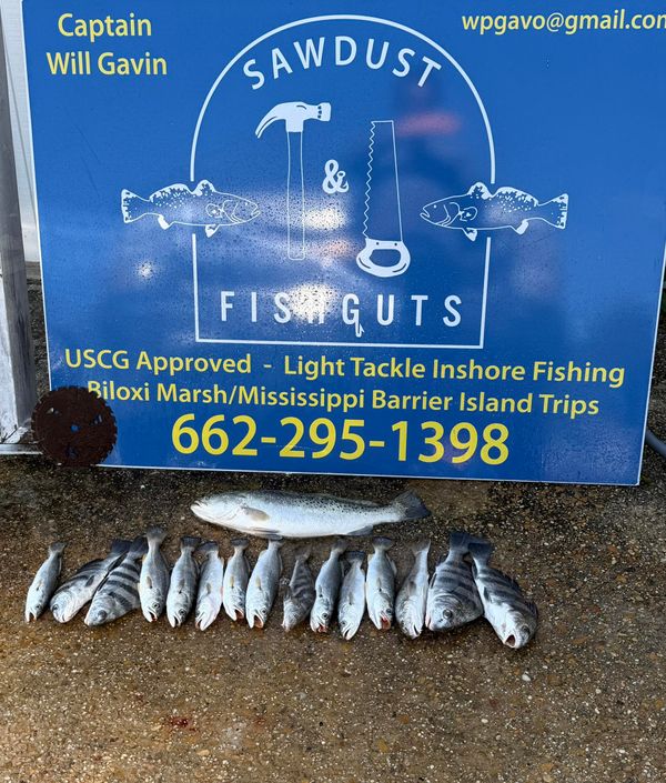 Sawdust and Fishguts Charters