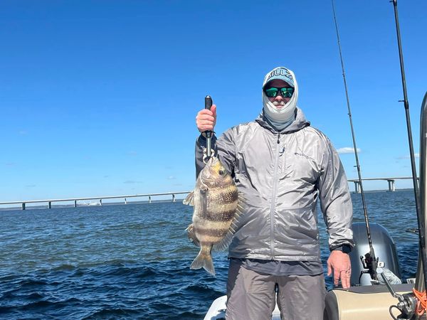 Sawdust and Fishguts Charters