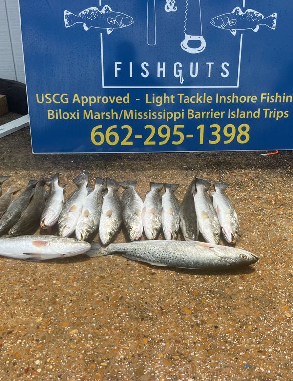 Sawdust and Fishguts Charters