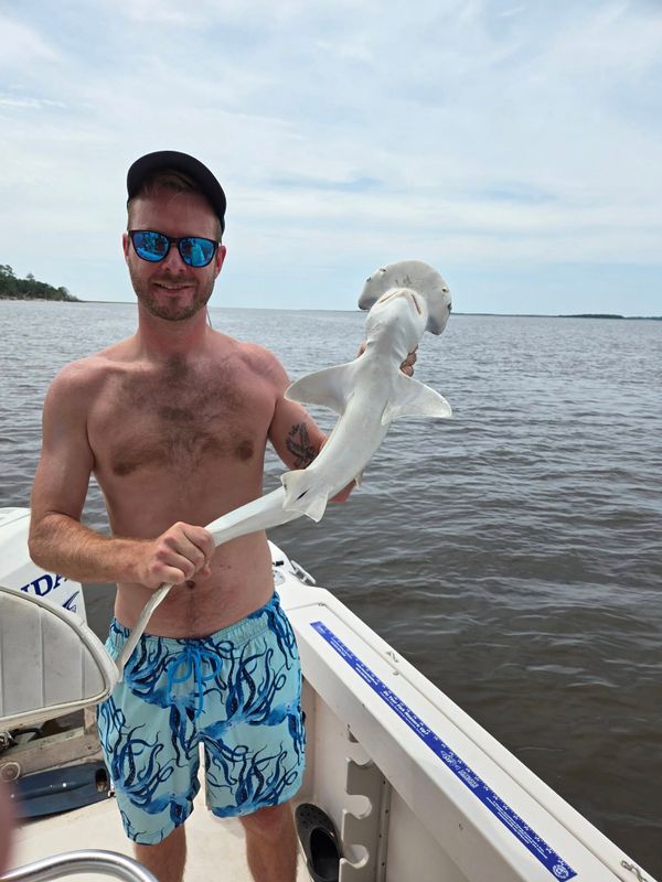 Chatham Inshore Charters