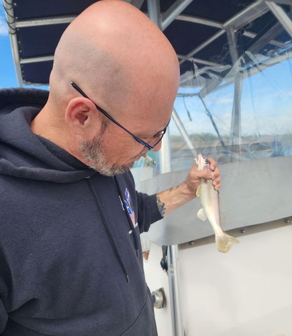 Chatham Inshore Charters