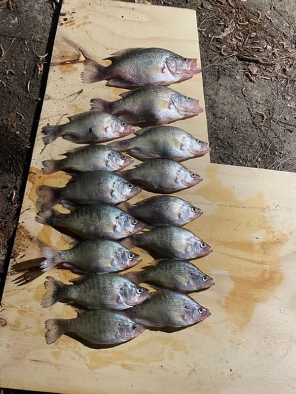 Coosa River Outfitters