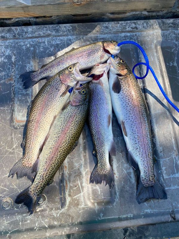 Coosa River Outfitters