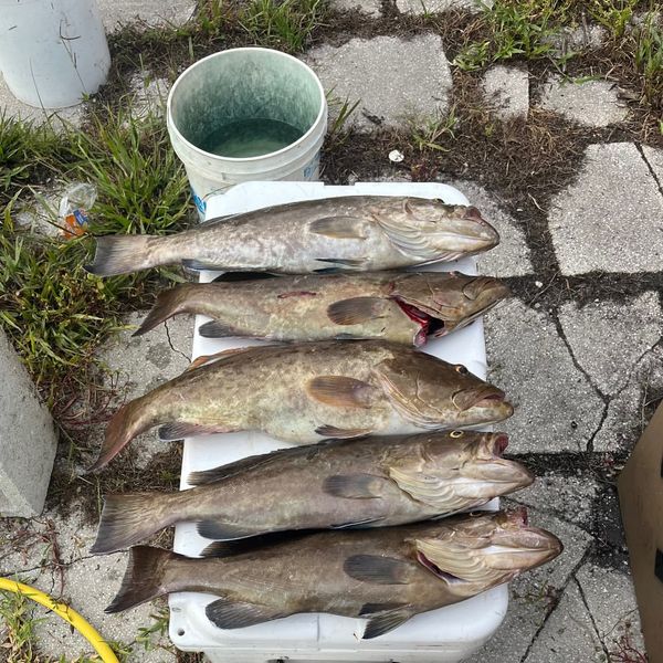 Chasing Limits Charters 