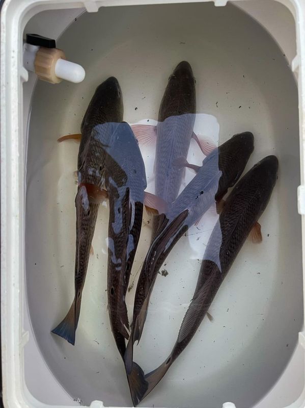 Reel Native Fishing Charters