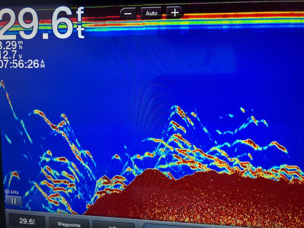 Saltwater Cowboy Fishing Charter