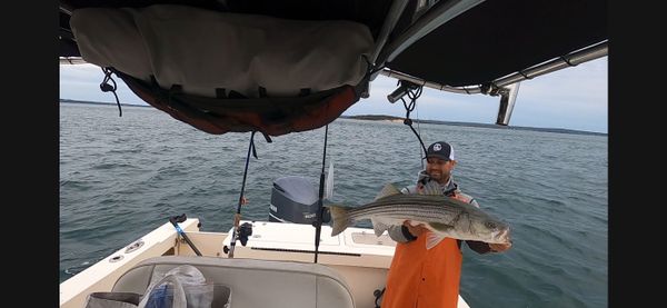 Saltwater Cowboy Fishing Charter