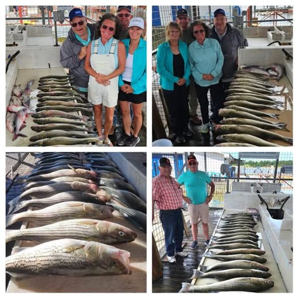 Papa Bob's Guide Service