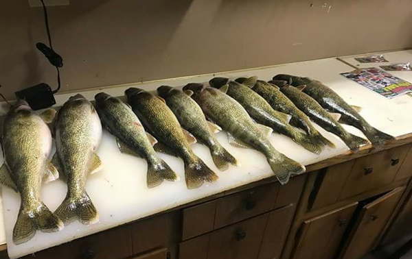 Limitless Fishing Charters