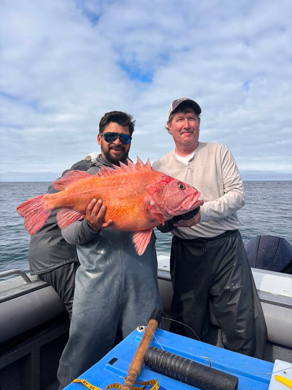 V-Strike Charters