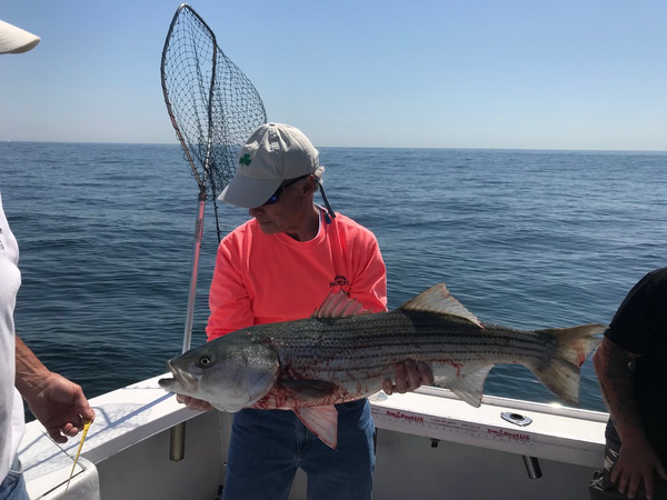 First Bite Charters