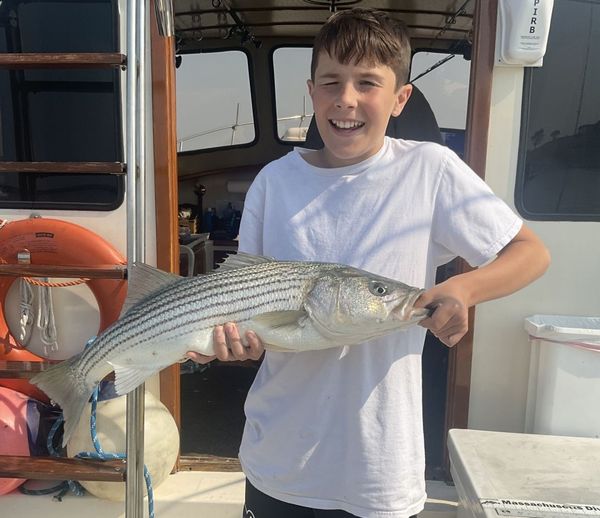 First Bite Charters
