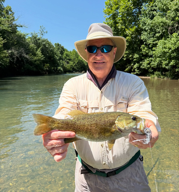 Ozark Mountain Fly