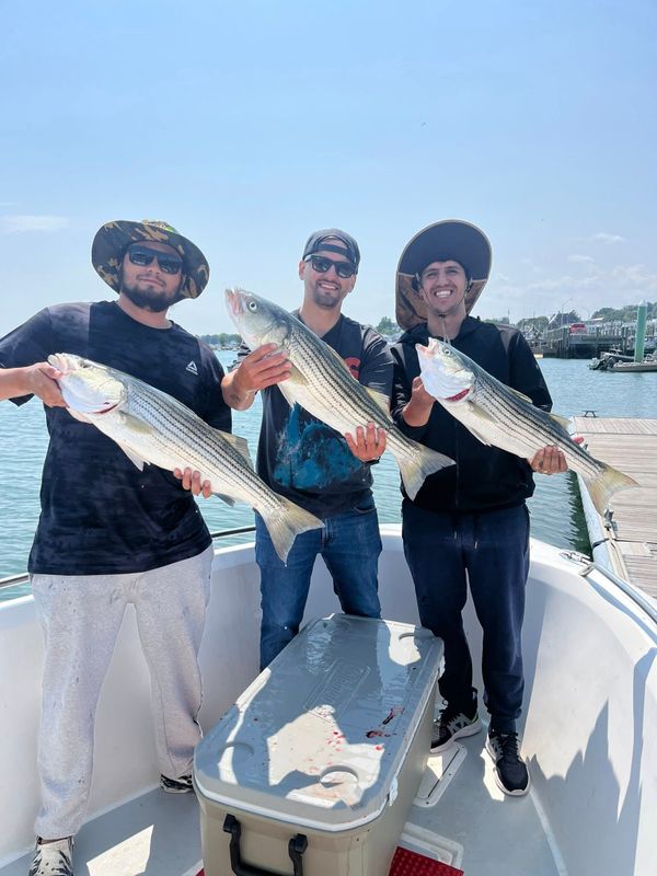 Endeavor Sportfishing