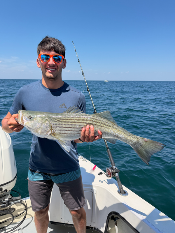Annie Bee Sportfishing