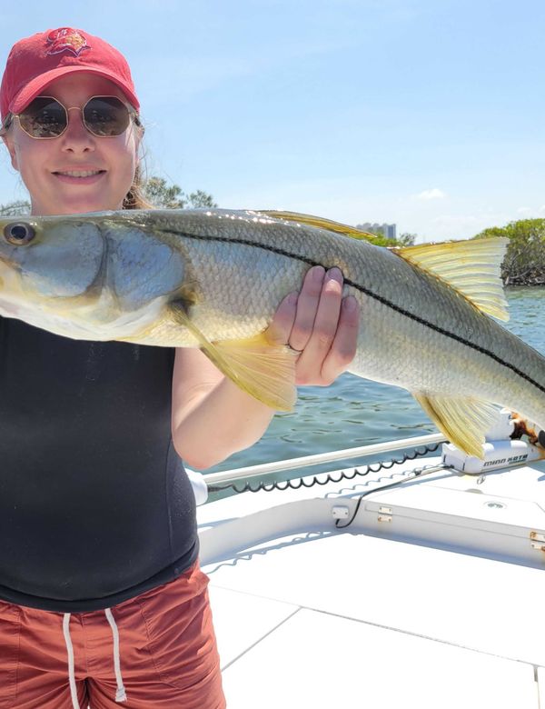 Capt. Tony Frankland Inshore Fishing