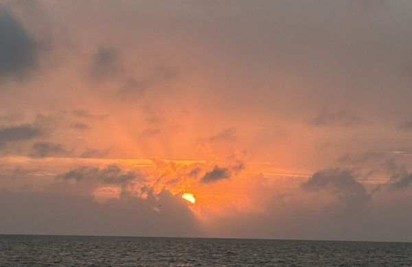 Coastal Alabama Charters