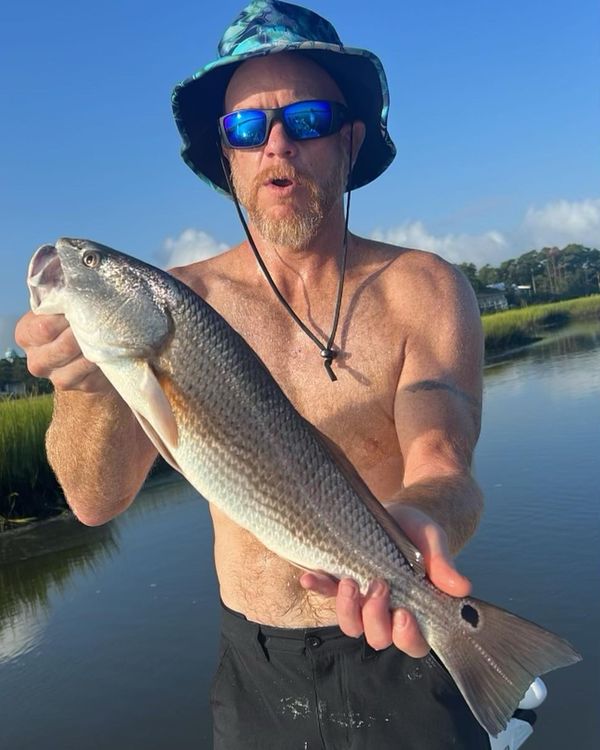 Reelin Pelican Fishing Charters