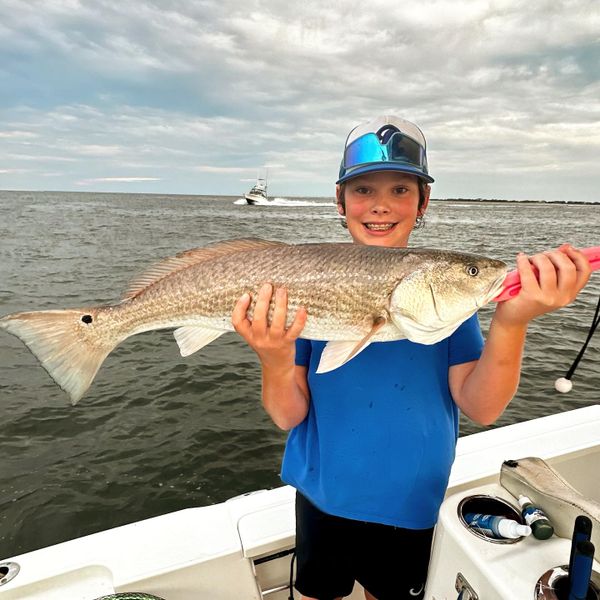 Reelin Pelican Fishing Charters