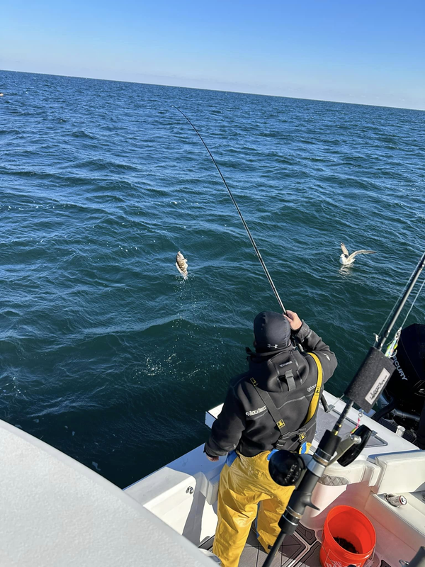 Shoot'em Sportfishing Charters