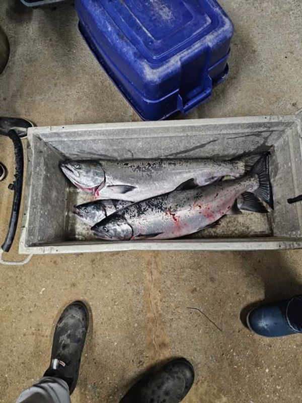 Pacific Odyssey Dory Charters 