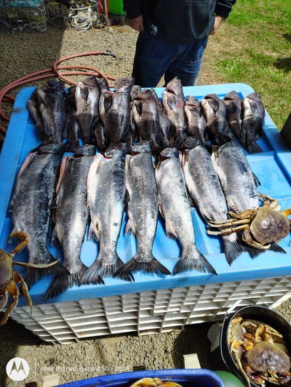 Pacific Odyssey Dory Charters 