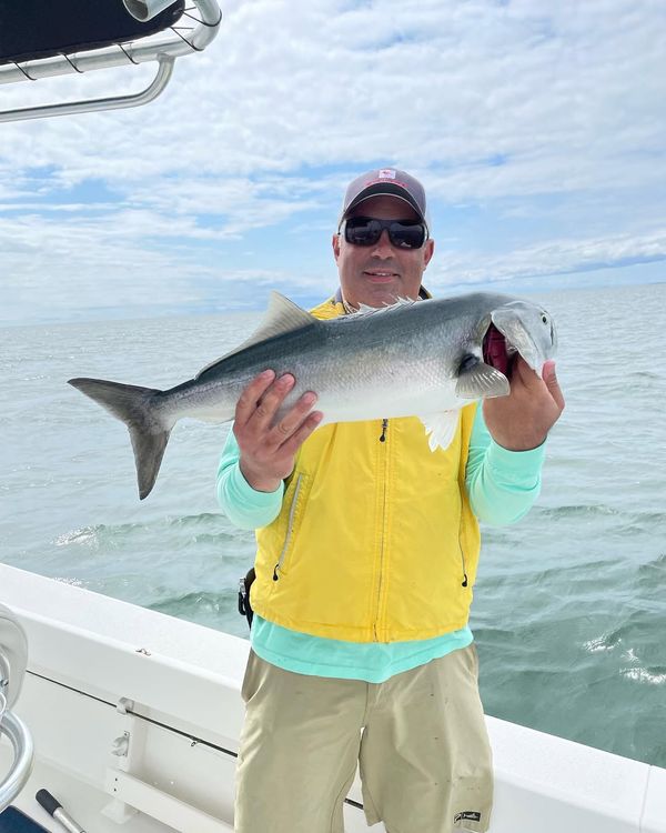 MoonDog Fishing