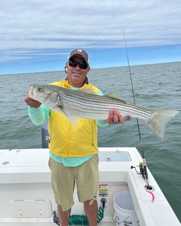 MoonDog Fishing