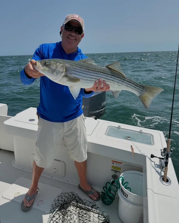 MoonDog Fishing