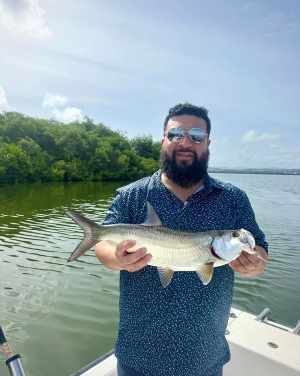 SuFishNSea