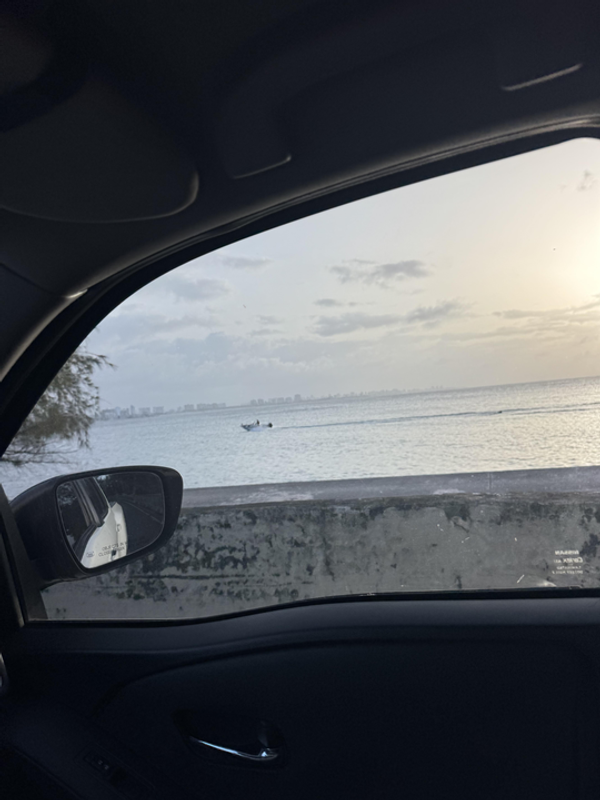 SuFishNSea