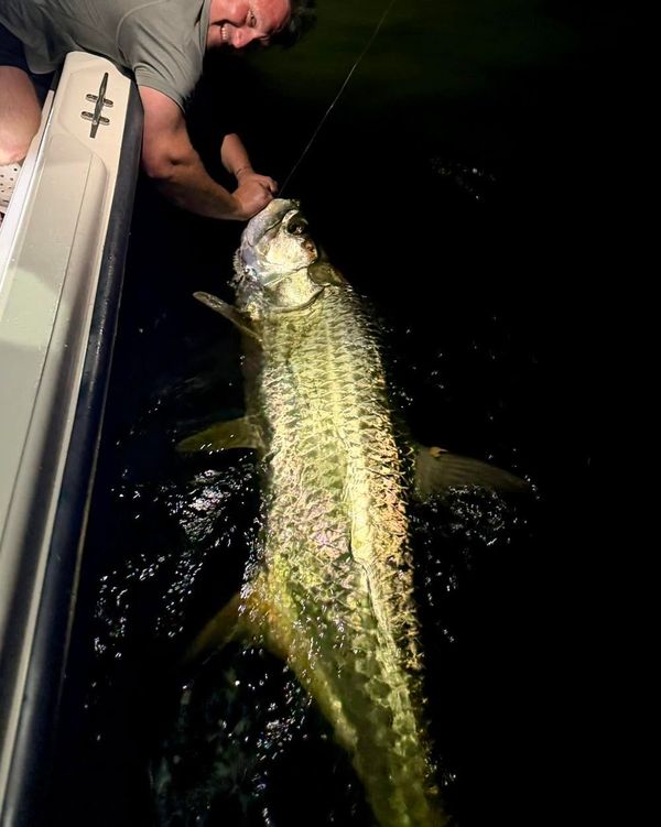FishNSea Charters