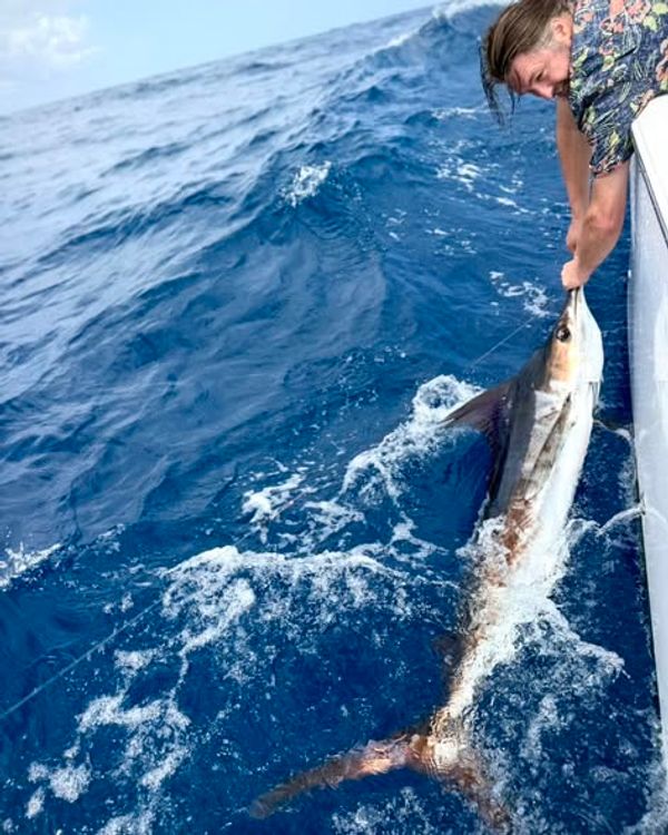 SuFishNSea