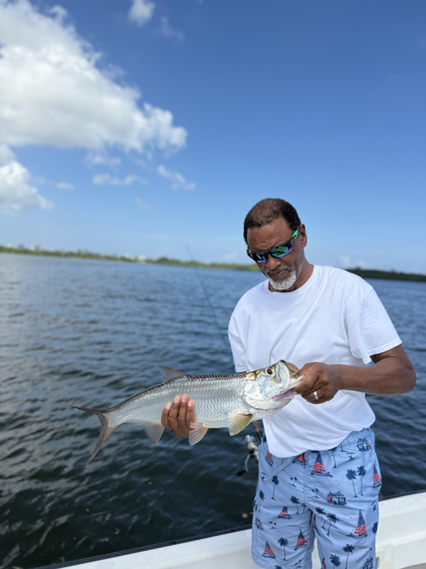 SuFishNSea