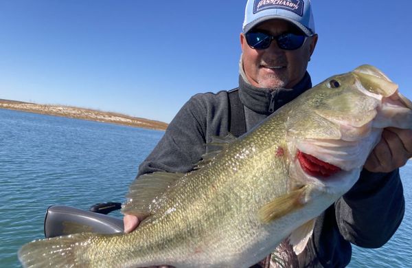 Amistad Bass Guide Service