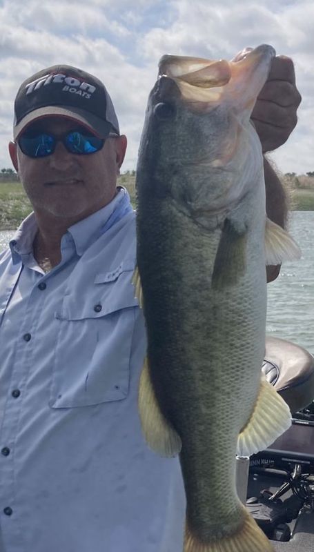Amistad Bass Guide Service