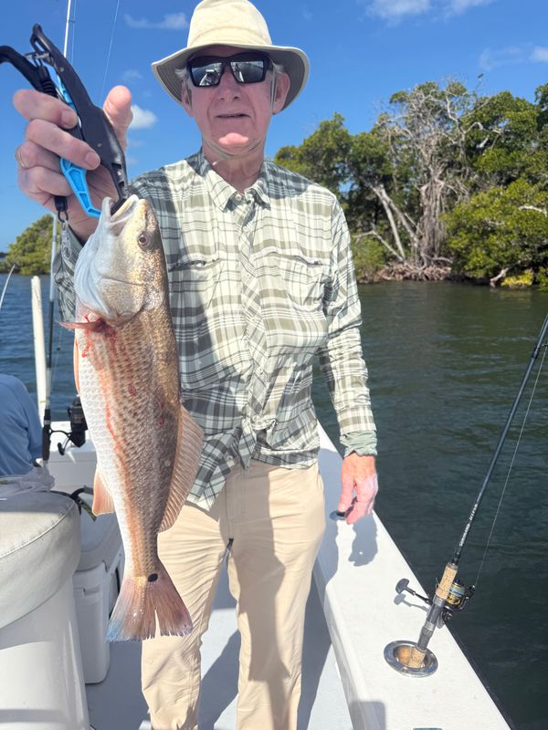 Gulfcart Fishing Charters