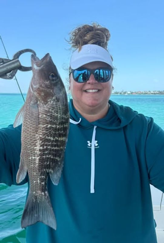 Fish Fins And Grins