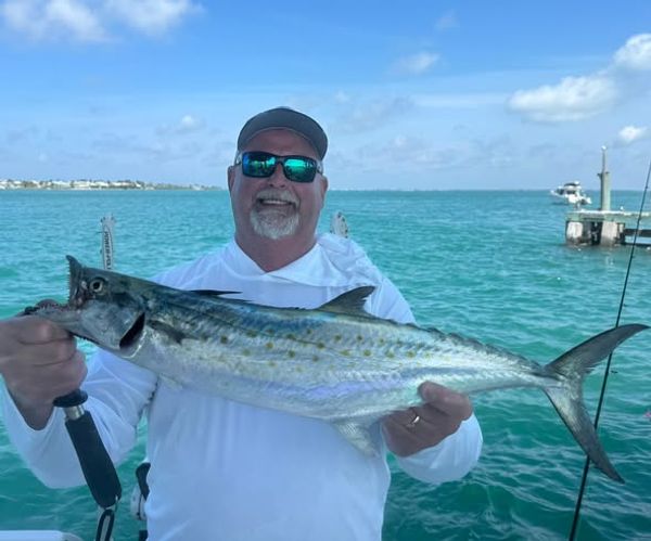 Fish Fins And Grins