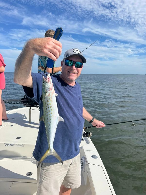 Fish Fins And Grins