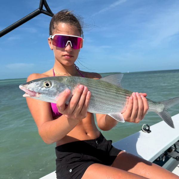 Native Son Charters