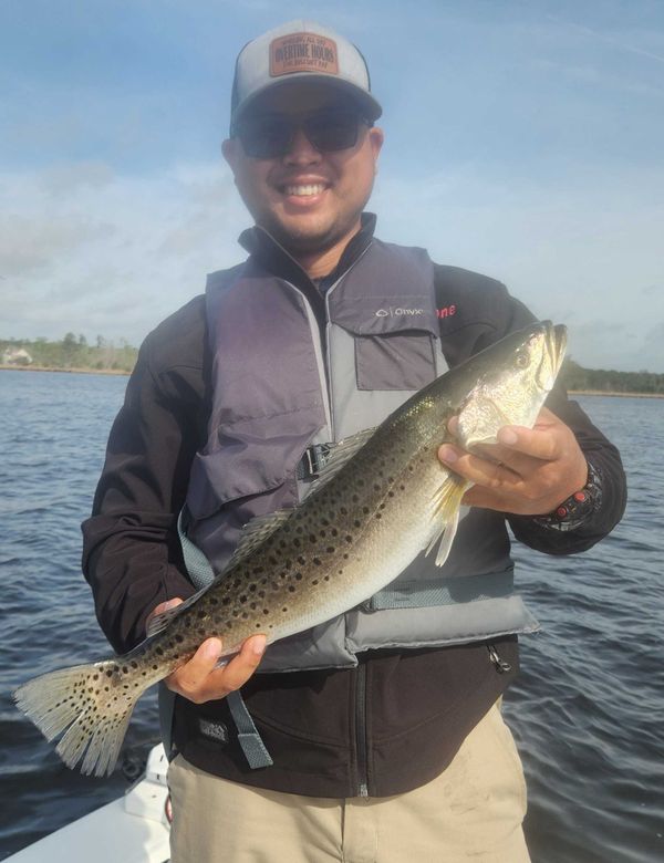 Spec Fever Guide Service