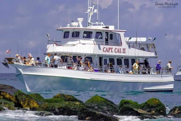 Captain Cal 2 Charters