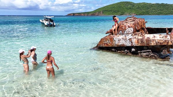 Black Octopus Tours