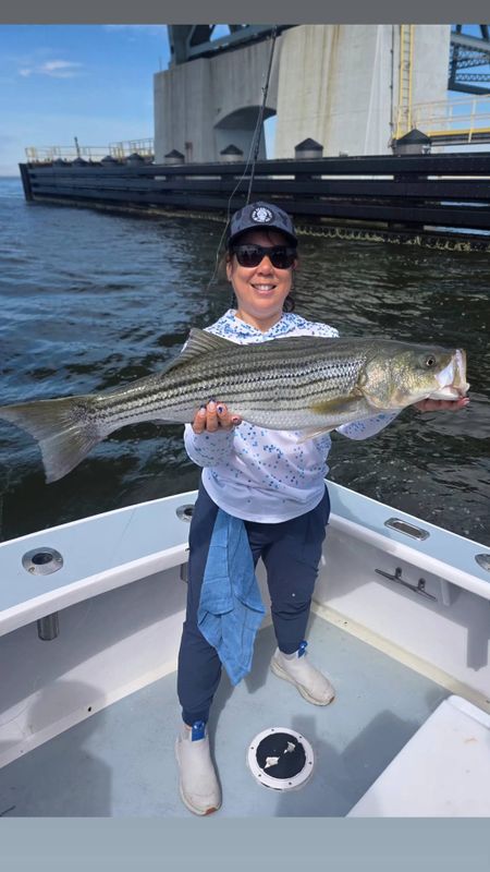 J Rod3 Charters