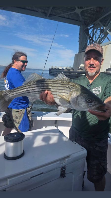 J Rod3 Charters