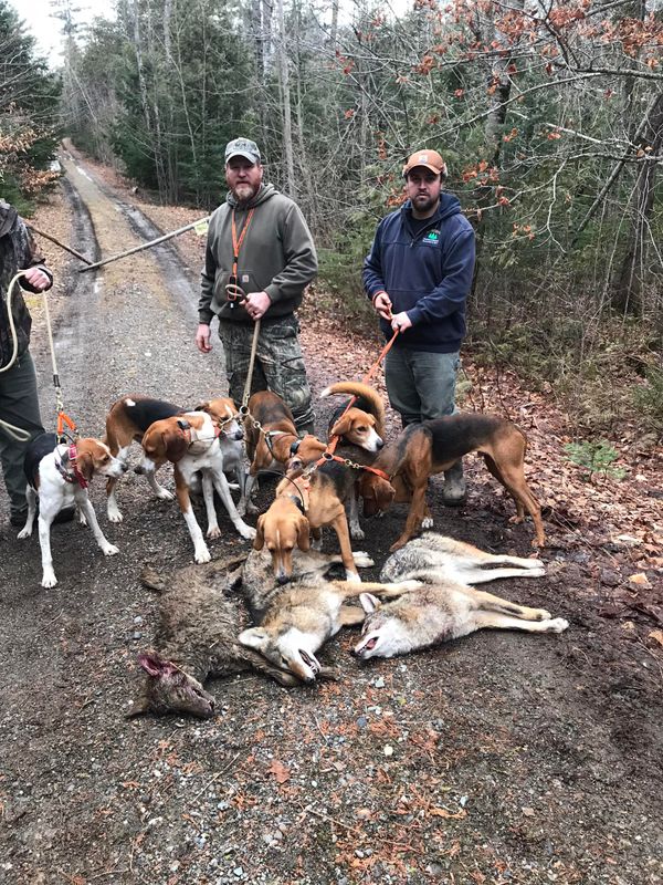Maine Guide Outfitter