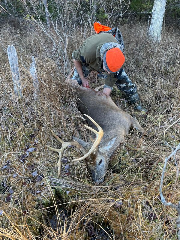 Maine Guide Outfitter