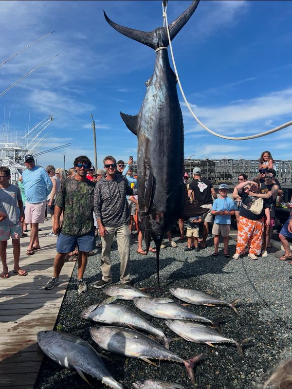 Grizzly Creek Charters